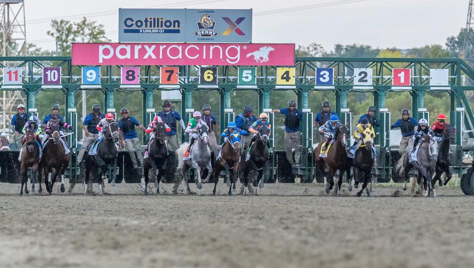 Baeza, Goal Oriented, Gosger, Magnitude, Pennsylvania Derby, Parx Racing, America's Best Racing, horse racing, ABR Baeza, Goal Oriented, Gosger, Magnitude, Pennsylvania Derby, Parx Racing, America's Best Racing, horse racing, ABR